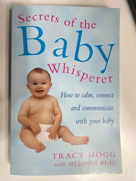 Photo of free Some baby/toddler how-to books (Wokingham, RG41) #1