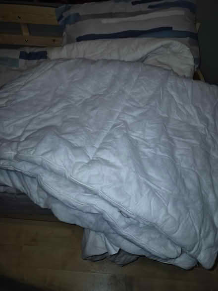 Photo of free 2 single duvets (Parsons cross S5) #1