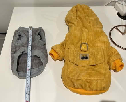 Photo of free Small dog jumper and jacket (UB1) #3