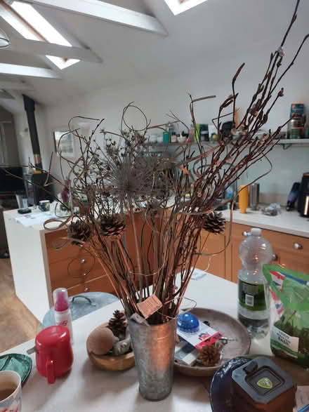 Photo of free decorative branches, cones etc with LED lights (Ringmer BN8) #1