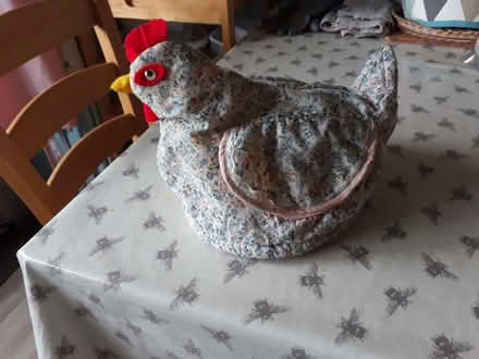 Photo of free Egg basket cover (Lindfield RH16) #1