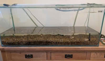 Photo of free 4ft fish tank (Bognor regis PO21) #1