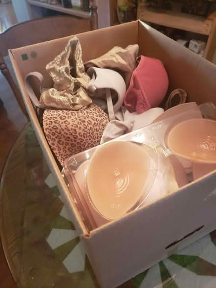 Photo of free Box of bras, mostly about 36b/c (Clearwater, Keene and Druid Rd) #1
