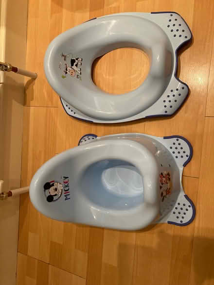 Photo of free Training toilet seat and potty. (East Grinstead RH19) #1