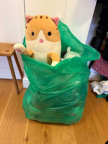 Photo of free Big bag of misc. cuddlies. (Headington OX3) #1