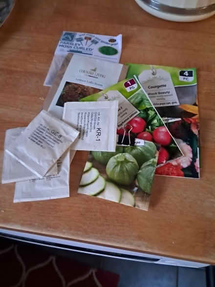 Photo of free Seeds (Melksham forest area) #1