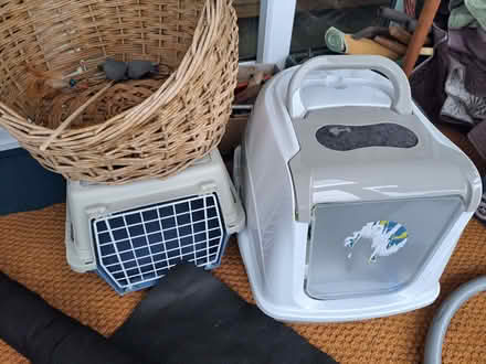 Photo of free Cat accessories (Crook LA8) #1