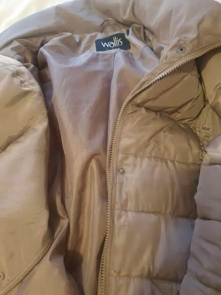 Photo of free Ladies coat (Lauriston EH3) #2