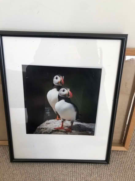 Photo of free Photo frames - various (Milton-under-Wychwood OX7) #3