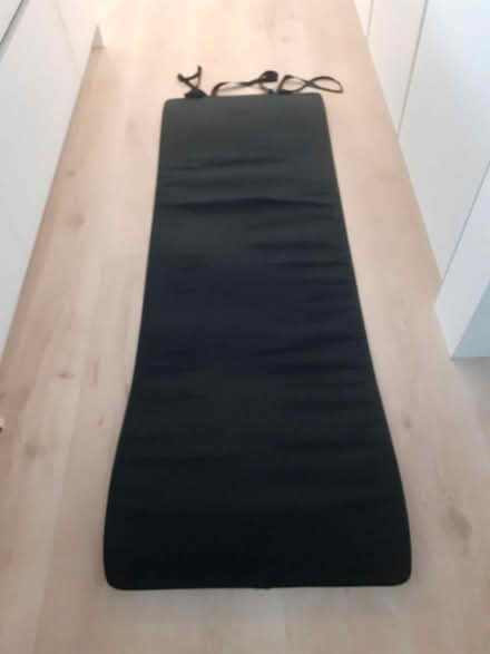 Photo of free gym mat (Polwarth EH14) #1