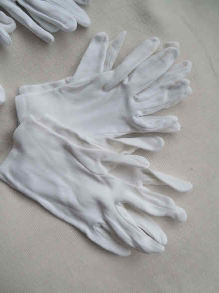 Photo of free White Cotton Gloves – 5 pairs (CO15) #2