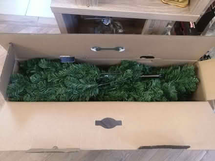 Photo of free Christmas tree (South Harrow HA2) #1