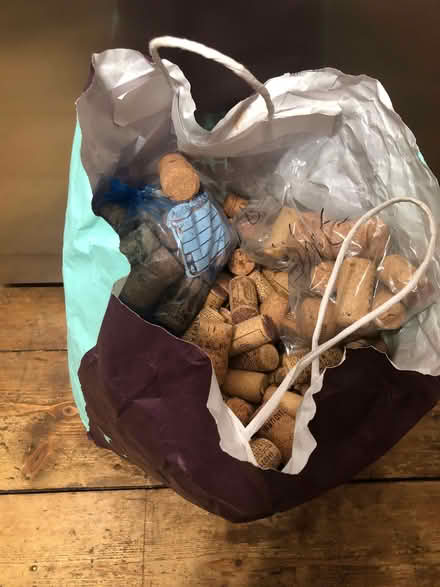 Photo of free Corks for crafting (Mousehold NR3) #1