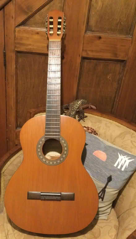Photo of free Encore RCG50N Acoustic Guitar. No Strings Attached ! (Bognor Regis PO21) #1