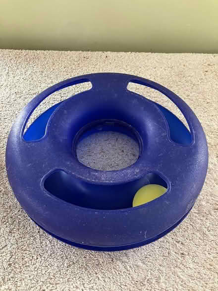 Photo of free Blue Cat Track Ball Toy (Near Gary Ave & Schick Rd) #1
