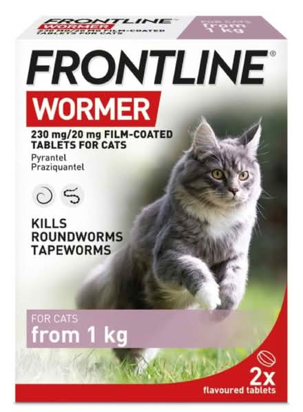 Photo of Wormer tablets for cats (RM6) #1