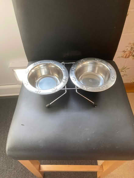 Photo of free Raised cat feeder (Sandy SG19) #1