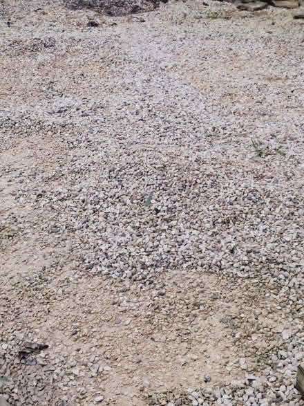 Photo of free Garden gravel/shingle (Alderney, BH12) #1