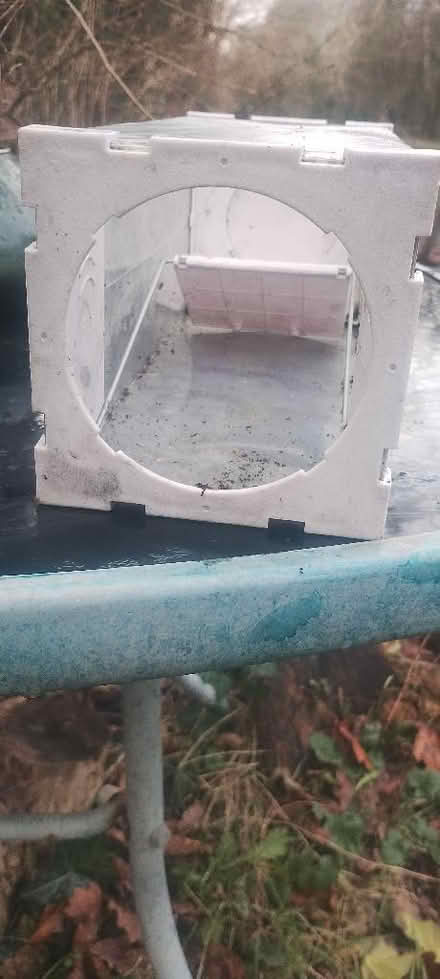 Photo of free Humane rat / mouse trap (Trevor LL20) #2