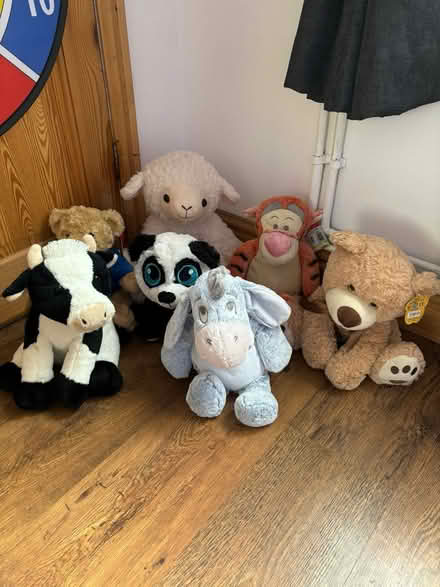 Photo of free Cuddly toys (Horfield) #1