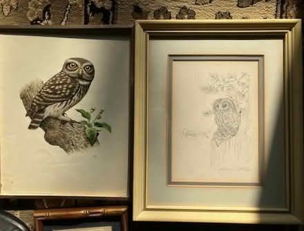 Photo of free 2 owls & one french country scene (south sunnyvale) #1