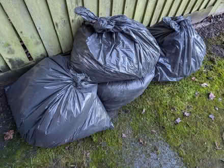 Photo of free Log fire ash left over fertaliser (Horsham Roffee) #2
