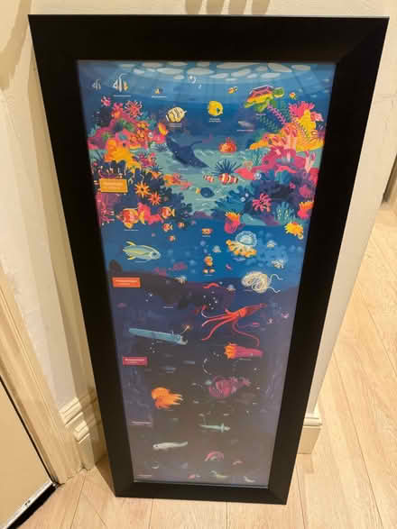 Photo of free Cute ocean animals poster with frame! (Earls Court SW5) #2
