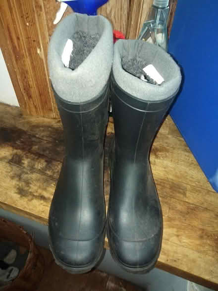 Photo of free Wellies - Size 4.5 (Marchmont) #1