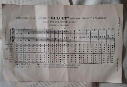 Photo of free Instructions, Descant Recorder (Newtown, Exeter) #3