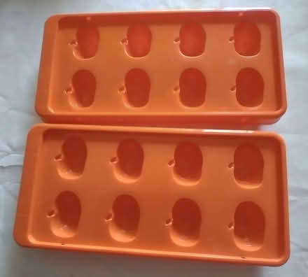 Photo of free Ice cube trays (Hereford HR4) #2