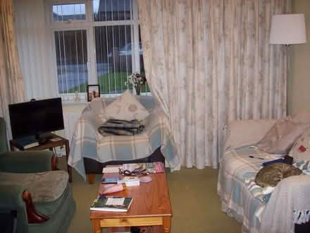 Photo of free Pair of curtains (Prestbury GL52) #3