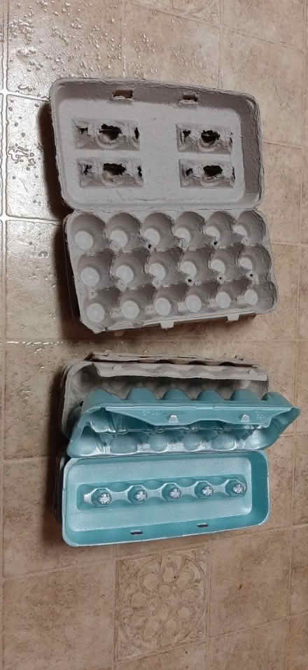 Photo of free Egg Cartons (Harrisonburg) #1