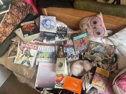 Photo of free Teen boys book comic manga stuff (N70HT) #1