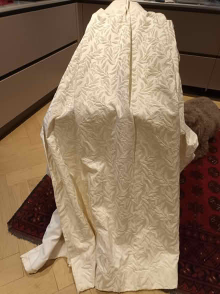 Photo of free A pair of cream lined curtains (NP20 3QQ) #1