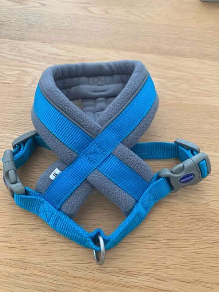 Photo of free Small Dog/Puppy Harness (Sandhurst GU47) #2