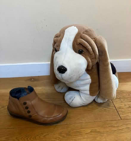 Photo of free Large soft toy dog - Final Offer (High Barnet) #1