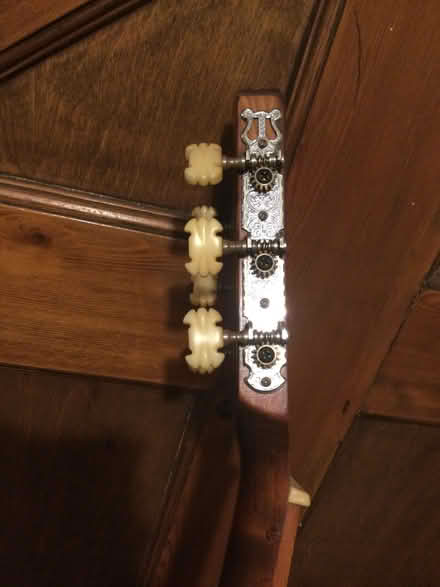 Photo of free Encore RCG50N Acoustic Guitar. No Strings Attached ! (Bognor Regis PO21) #4