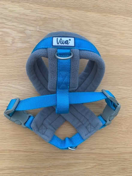 Photo of free Small Dog/Puppy Harness (Sandhurst GU47) #1