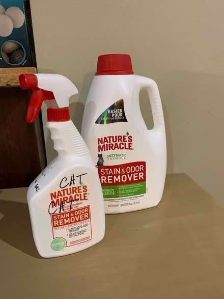 Photo of free Cat stain and odor remover (Crown Hill, north of Ballard.) #1