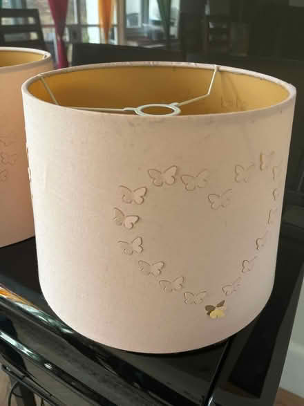 Photo of free Pair of ceiling light shades (Sanderstead) #2