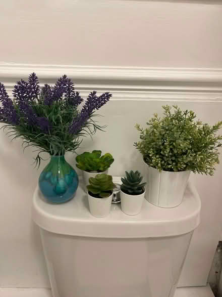 Photo of free Fake plants decoration flower ๐บ (Dollis Hill) #1