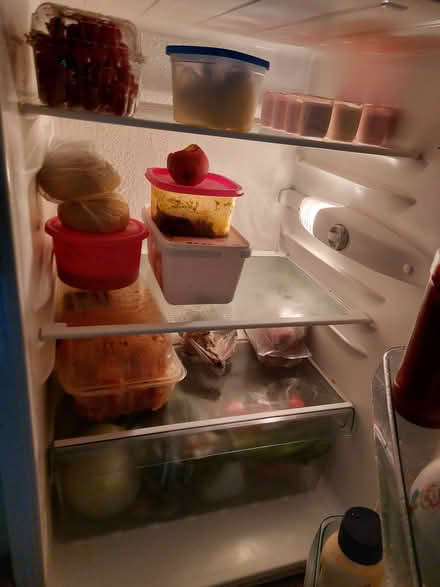 Photo of free Under counter fridge (Greaves LA1) #2