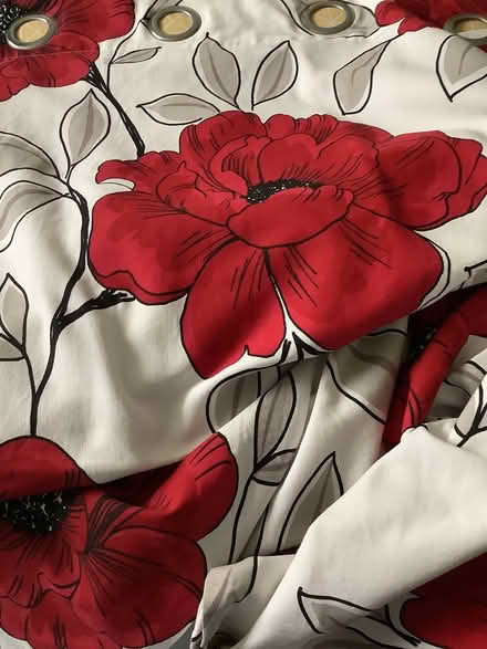 Photo of free Curtains (Abington) #1