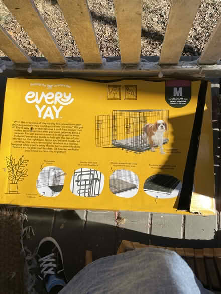 Photo of free worm bin, tent, cabinet, crate (Staunton) #3