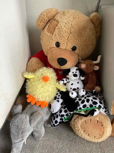 Photo of free Soft Toys (Rusthall TN4) #2