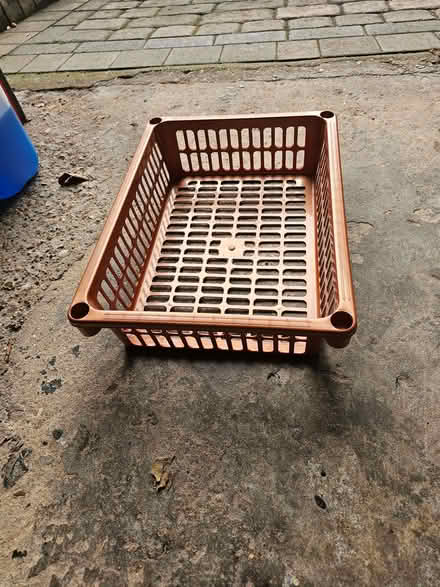 Photo of free Plastic basket/tray (Chapel End E4) #1