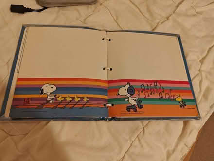 Photo of free US-style folder with sleeves for lightweight letters/doc (Woking GU22) #2