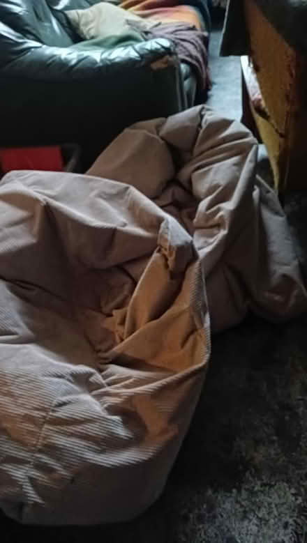 Photo of free Two bean bags (Pixley street 14) #2
