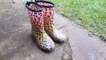 Photo of free Children's wellies, size 3 (Oakridge RG21) #1