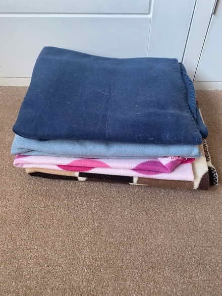 Photo of free Four pet blankets (Privett PO12) #1